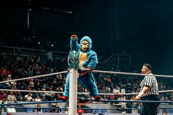 How Have Innovations in Equipment Altered UK Sports Performance?